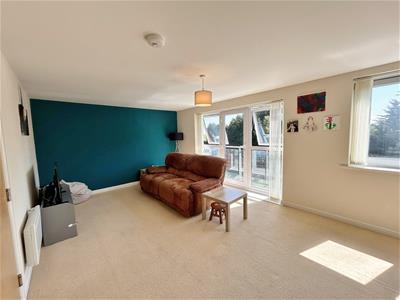 Picture 5
